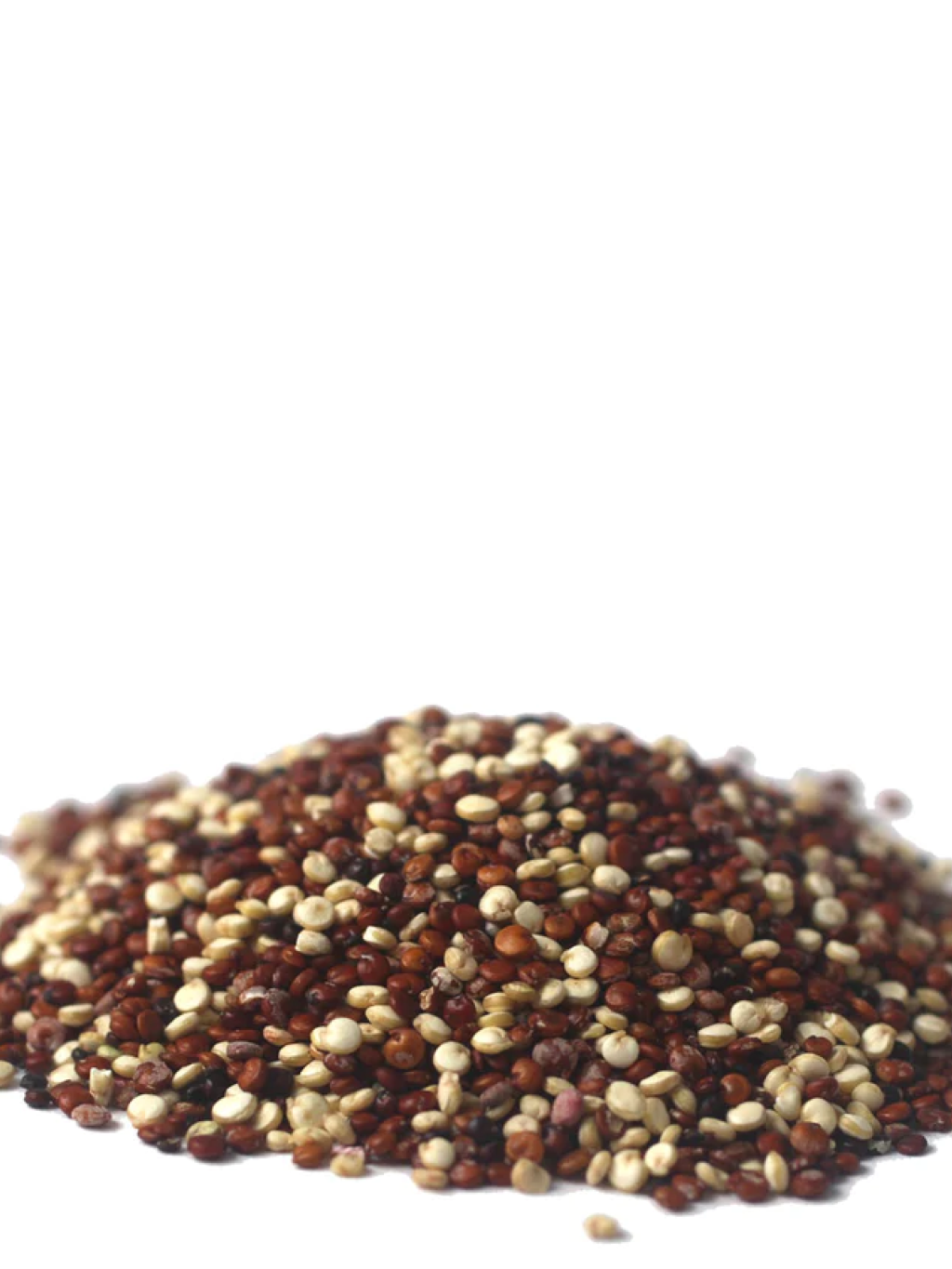 Stay Raw Organics Tricolor Quinoa 有機三色藜麥 - 454g