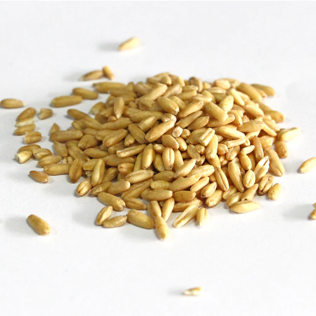 Family Farm Organics Oat Groats - 454g