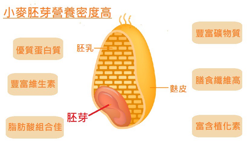 Family Farm Raw Wheat Germ 340g