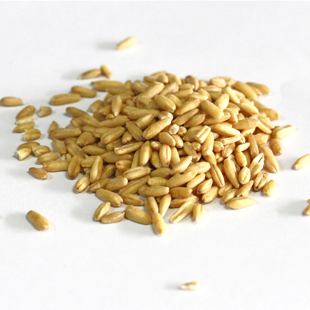 Family Farm Organics Oat Groats 有機燕麥米 - 454g