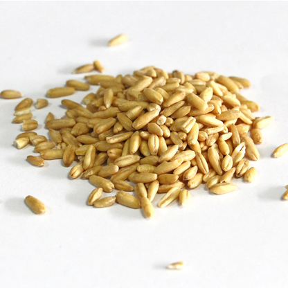 Family Farm Organics Oat Groats 有機燕麥米 - 454g